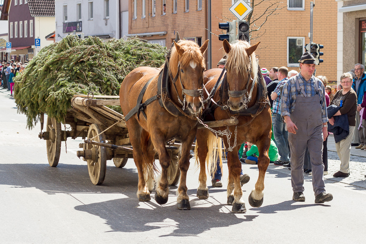 leiterwagen2